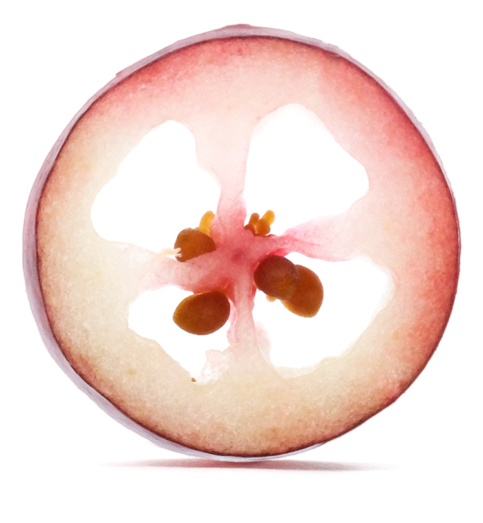 ドライワイルドブルーベリー焼き菓子の写真