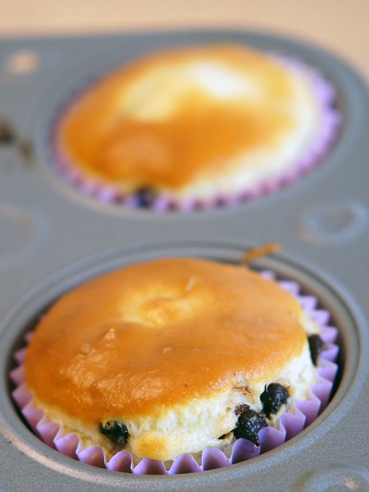 ドライワイルドブルーベリー焼き菓子の写真