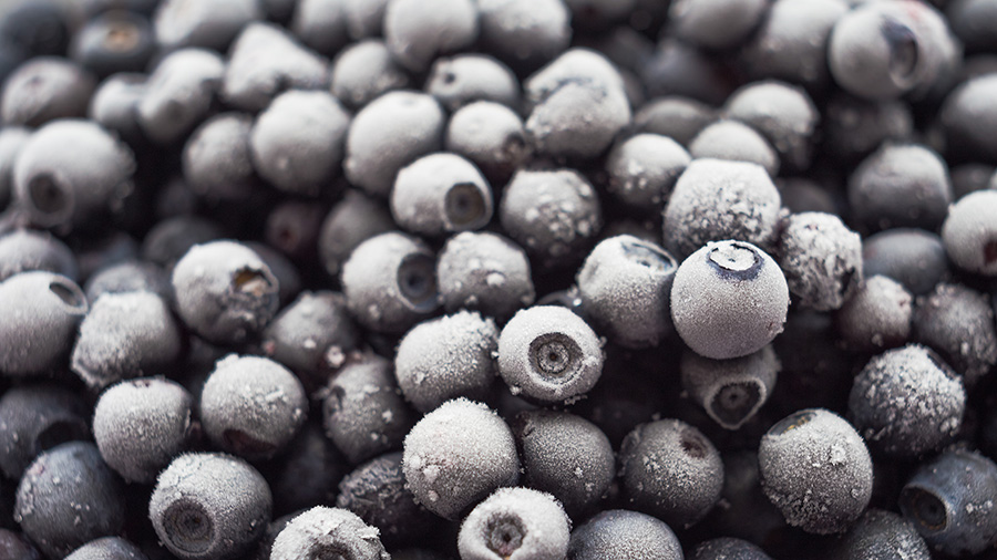 冷凍ブルーベリー