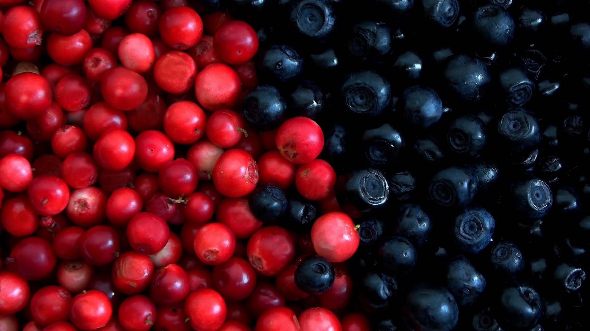 クランベリー・ワイルドブルーベリーの画像