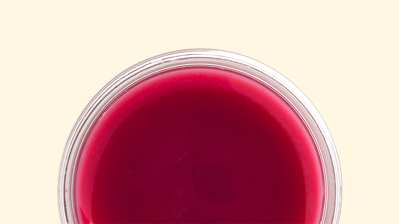 果汁・ピューレ