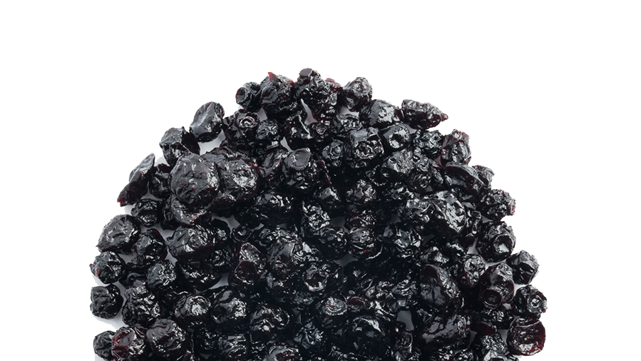 ドライワイルドブルーベリー