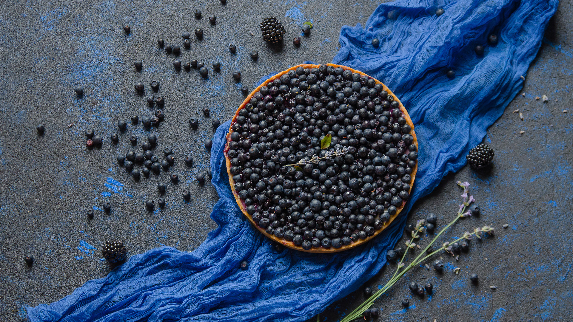 ワイルドブルーベリーの画像