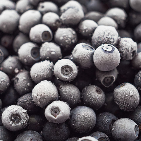 冷凍ワイルドブルーベリー