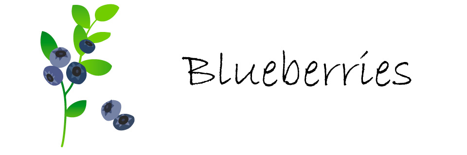 ブルーベリーの作物統計