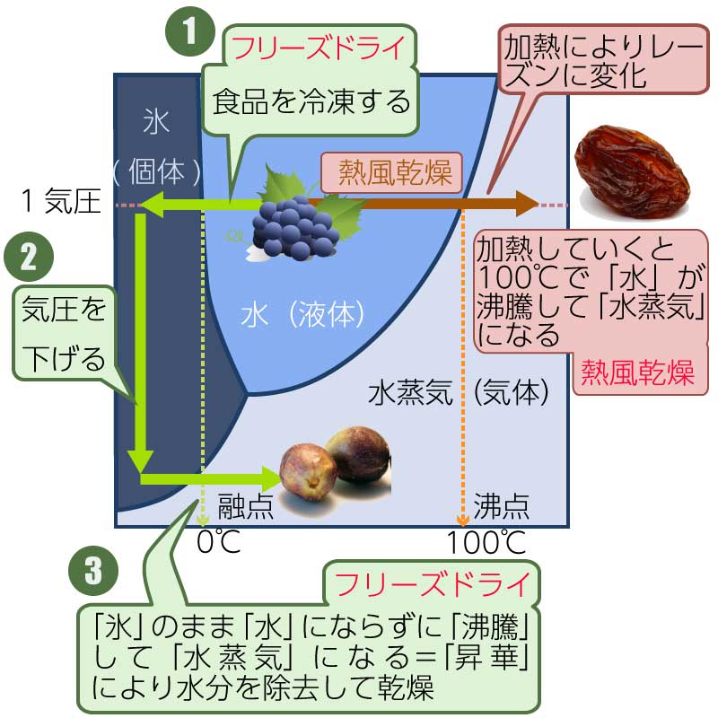 水の三相図とフリーズドライ