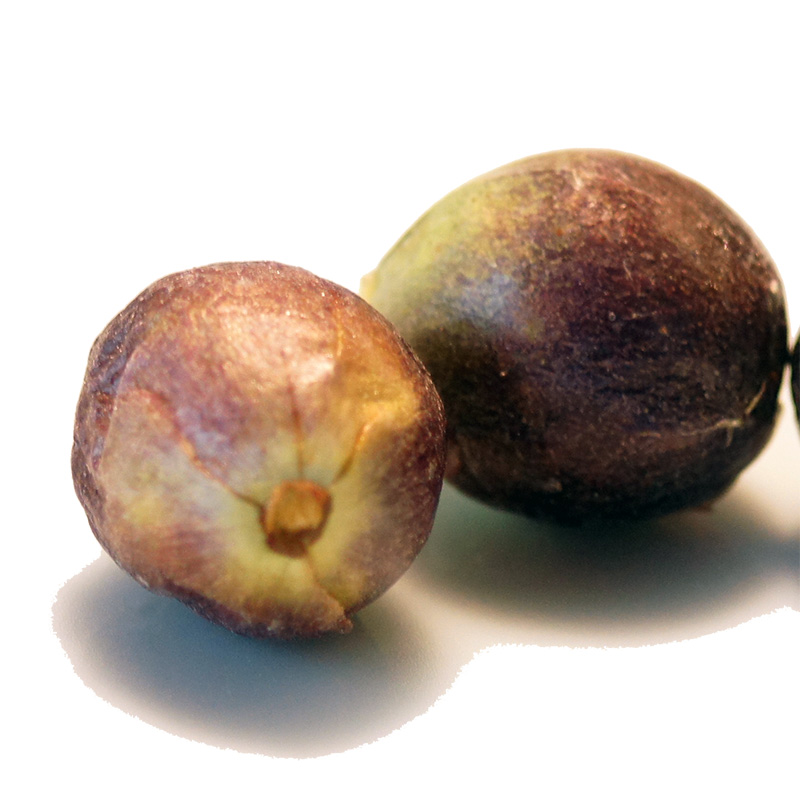 フリーズドライぶどうの画像