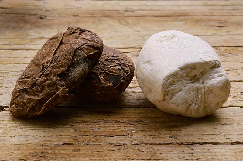 チューニョの画像