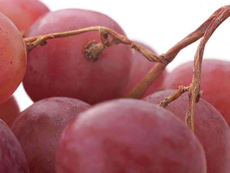 生鮮ぶどうの画像